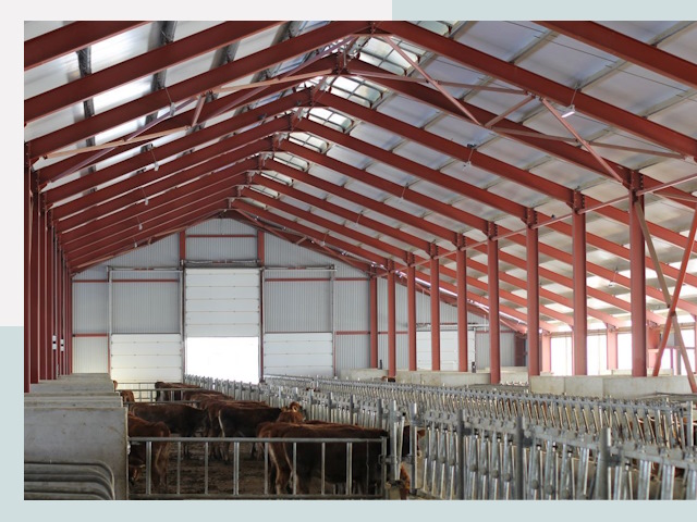 Строительство коровников в Перми